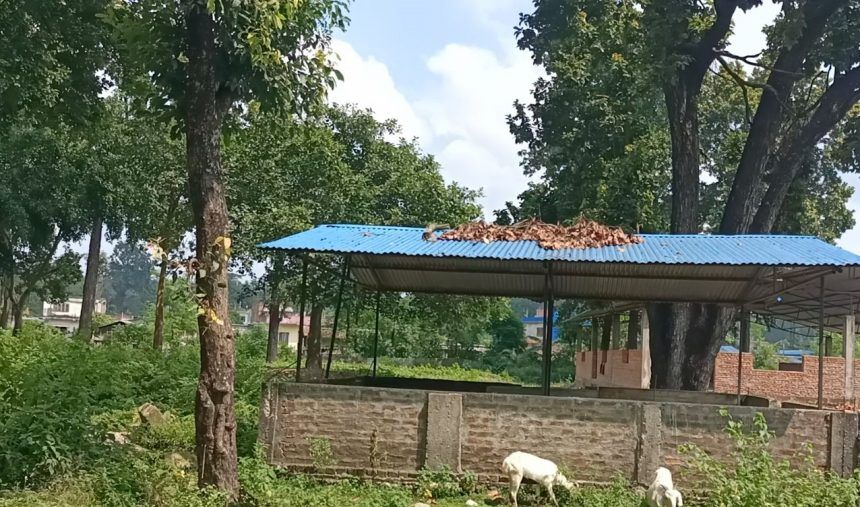 बारामा वन अतिक्रमण तीव्र रुपमा बढ्दै, करिब १० हजार वन क्षेत्र अतिक्रमणको चपेटामा