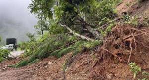 रुख ढलेर पूर्वपश्चिम राजमार्गको दाउन्ने खण्ड अवरुद्ध