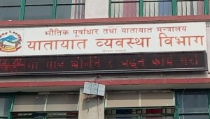 यातायात व्यवस्था विभागको महानिर्देशकमा सुरेश राउत