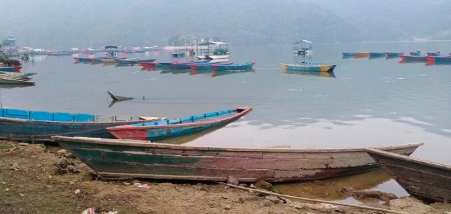 फेवाताल किनारमा पुराना डुङ्गाः थपिँदै चुनौती, मासिँदै सुन्दरता