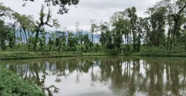 ५ करोड लागतमा र्यटकीय ताल निर्माणका लागि बाँध निर्माण कार्य सुरु