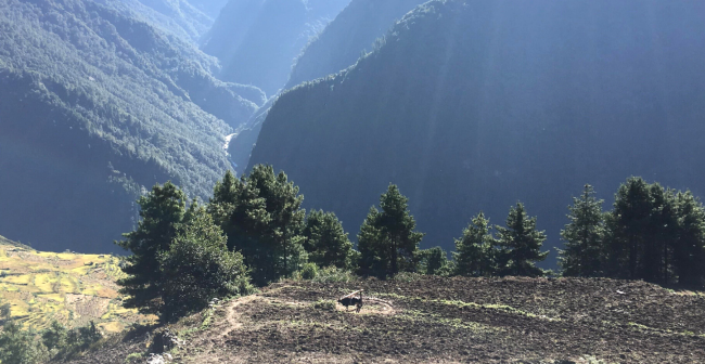 अरुण प्रवेश मार्ग मुआब्जाः कार्यदलले काम गर्न सुरु