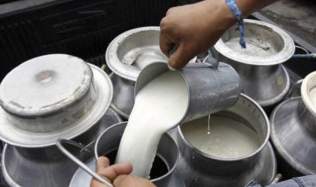 महोत्तरीका किसानहरू दूधमा आत्मनिर्भर बन्दै