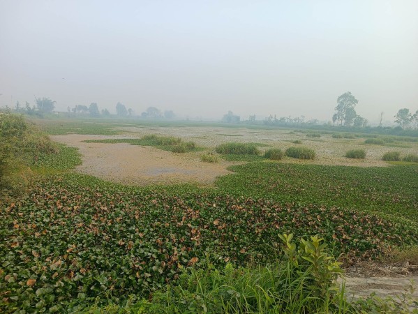 भू-माफियाले गिद्धे नजर लगाएपछि मर्धर सिमसार क्षेत्र बचाऊ संघर्ष समिति गठन