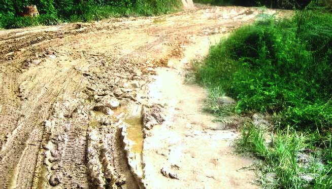 सात वर्ष बित्दासमेत सम्पन्न भएन नगरकोट सडक