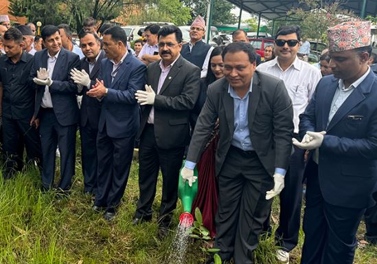 विद्युत् प्राधिकरणका देशभरका कार्यालयमा वृक्षरोपण